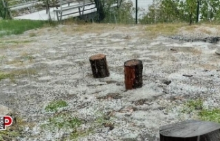 Germencik’te sağanak yağış ve dolu etkili oldu