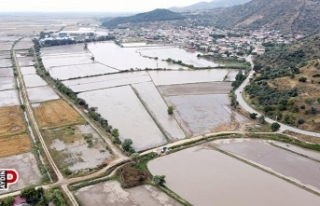 Sel, tarlaları sular altında bıraktı