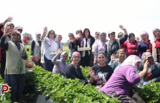 Selvi Kılıçdaoğlu ile Başkan Çerçioğlu Emekçi...