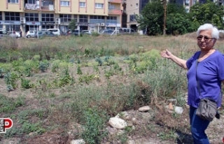 Aykonut mağdurlarının umutları tükendi