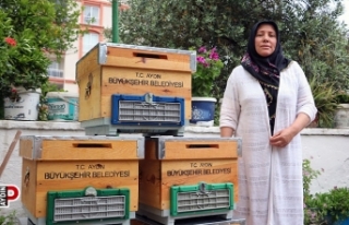Büyükşehir'den kadın arıcılara kovan desteği