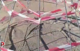 Didim “Caretta Caretta”ların yeni yuvası oldu