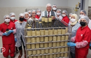 Efeler'in Tarımsal Ürün Fabrikası Türkiye'ye...