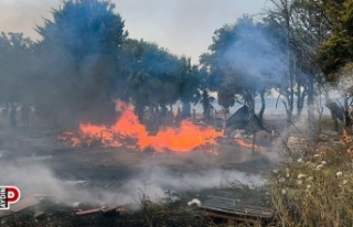Kuşadası’ndaki arazi yangınında sabotaj iddiası