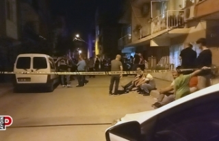 Miras kavgasında öz ağabeyini öldürdü