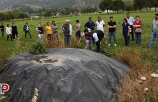 Üreticilere uygulamalı organik kompost yapımı...