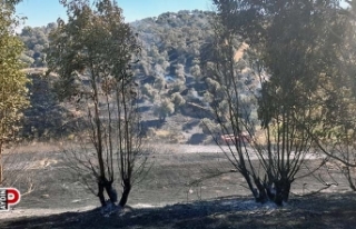 Aydın'da 1 günde 5 büyük yangın meydana...