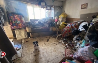 Çevreye kötü koku yayılan evden 2 kamyon çöp...