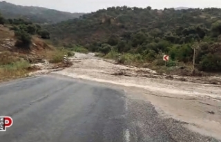 Çine'de 4 büyükbaş hayvan kayboldu, traktör...