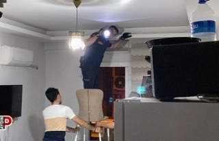 Eve giren yarasa korkuya neden oldu