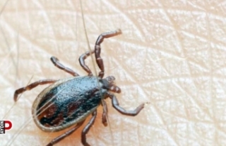 KKKA hastalığına karşı vatandaşlar uyarıldı