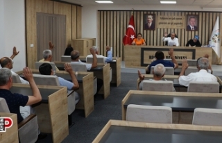 Koçarlı Çam Fıstığı ve Yöresel Ürünler Festivali'nin...