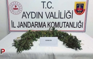 Köşk'te uyuşturucu operasyonu: 2 gözaltı