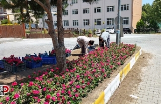 Söke çiçeklerle renkleniyor