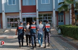 Zeytinyağı hırsızları, kıskıvrak yakalandı