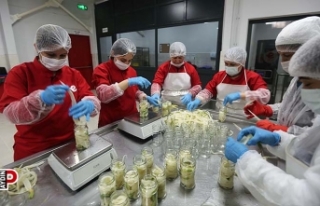 Başkan Atay, Efeler'de tarıma değer katıyor