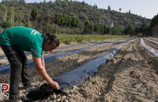 Adabahçe’de kış hazırlıkları başladı
