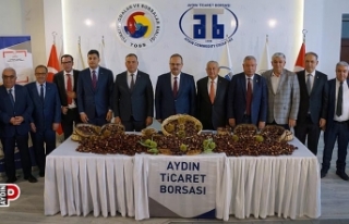 Aydın'da sezonun ilk kestanesi 350 TL’den...