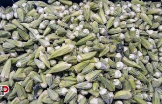 Aydın ekonomisine 5 ayda 50 milyon katkı sağlıyorlar