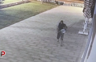 Kablo hırsızı yakalandı