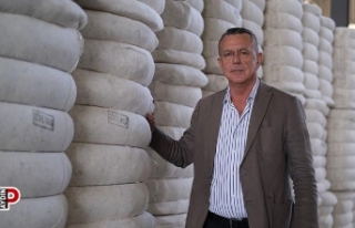 Söke TARİŞ, rekor pamuk alımına doğru koşuyor