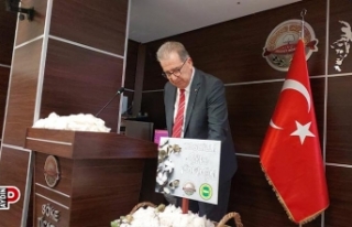 Türkiye'nin pamuk ambarı Söke'nin pamuğu...