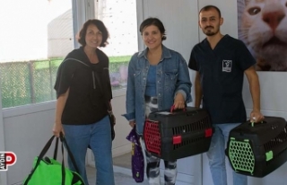 Kedi Kısırlaştırma Merkezi hizmete açıldı