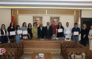 Koçarlı girişi uzman dokunuş ile güzelleşecek