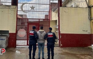 Jandarmadan eşzamanlı operasyon: 23 yakalama