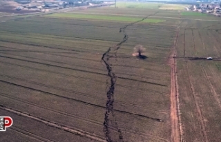 MTA yenilenmiş diri fay hatlarını paylaştı