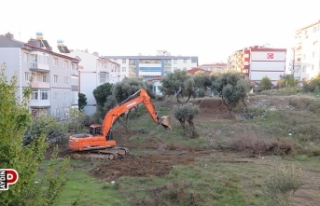 Söke Belediyesi'nden, Çeltikçi Mahallesi'ne...