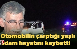 Otomobilin çarptığı yaşlı adam hayatını kaybetti