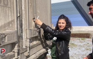 Söke’nin balıkları, İtalya yolcusu