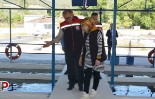 Aydın'da 2023 yılında balık ihracatından...
