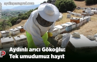 Aydınlı arıcı Gökoğlu: Tek umudumuz hayıt