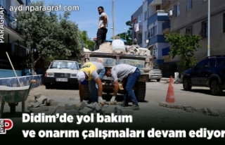 Didim’de yol bakım ve onarım çalışmaları devam...