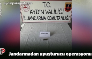 Jandarmadan uyuşturucu operasyonu