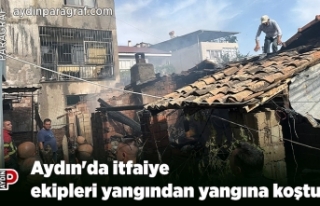 Aydın'da itfaiye ekipleri yangından yangına...