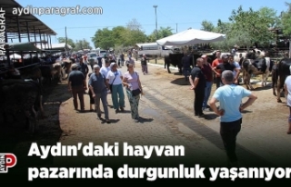 Aydın'daki hayvan pazarında durgunluk yaşanıyor