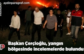 Başkan Çerçioğlu, yangın bölgesinde incelemelerde...