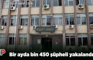 Bir ayda bin 450 şüpheli yakalandı