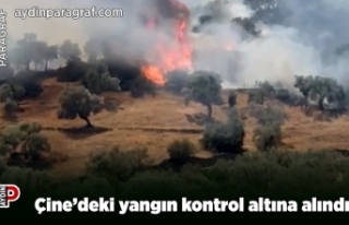 Çine’deki yangın kontrol altına alındı