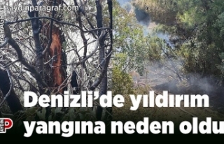 Denizli’de yıldırım yangına neden oldu