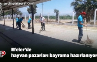 Efeler’de hayvan pazarları bayrama hazırlanıyor