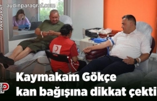 Kaymakam Gökçe kan bağışına dikkat çekti