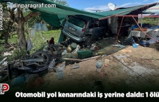 Otomobil yol kenarındaki iş yerine daldı: 1 ölü