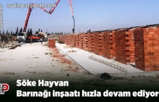 Söke Hayvan Barınağı inşaatı hızla devam ediyor