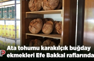Ata tohumu karakılçık buğday ekmekleri Efe Bakkal...