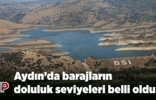 Aydın’da barajların doluluk seviyeleri belli oldu