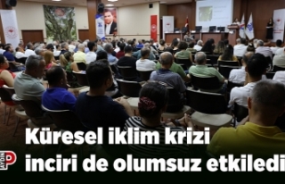 Küresel iklim krizi inciri de olumsuz etkiledi